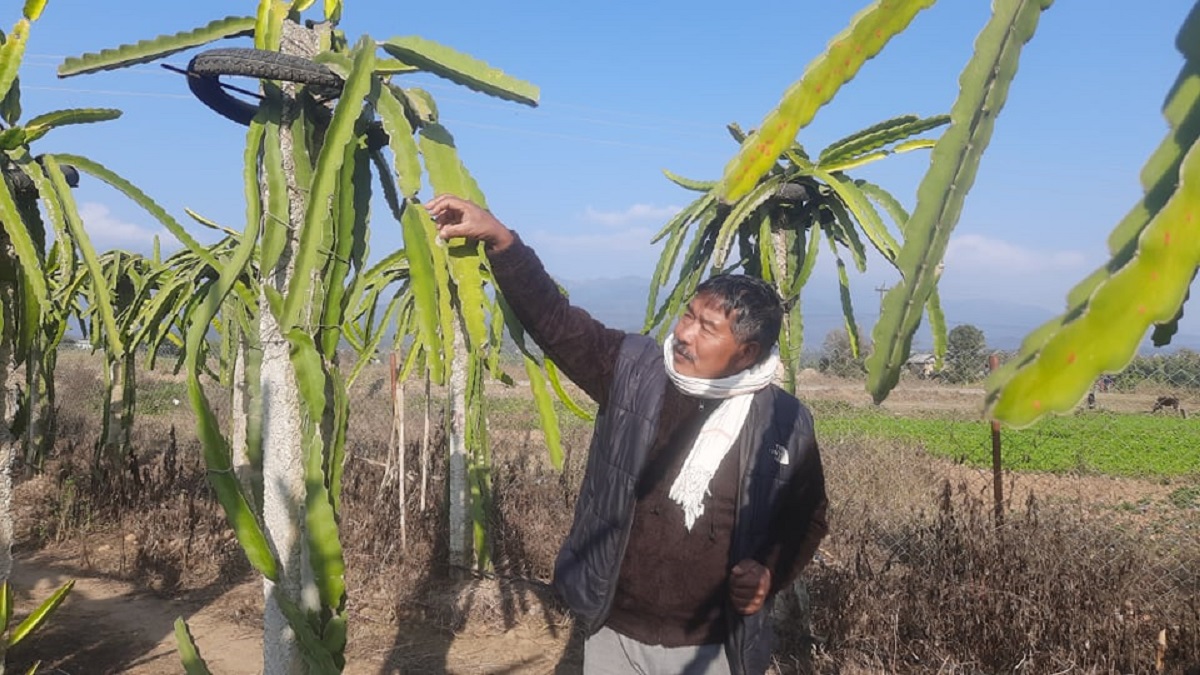 जव हामी कृषिलाई परित्याग गरेर राजनीति गर्छौँ, त्यो राजनीति हुँदैन, त्यो त लाजनीति हुन्छ : पूर्वमन्त्री विष्ट 